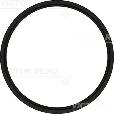 Shaft Seal, crankshaft